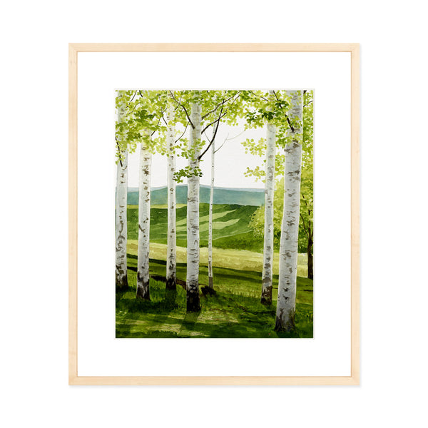 Birch Forest - Art Prints by Felix Doolittle